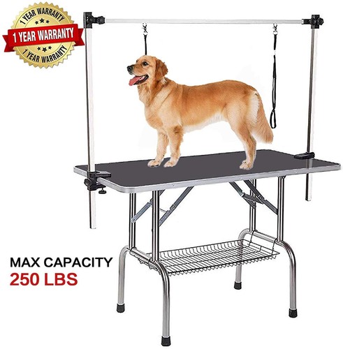 Professional dog grooming - professional,